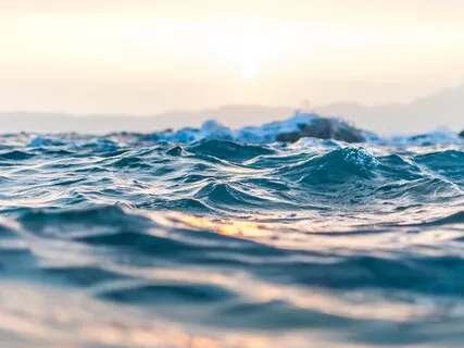 Riding The Wave Of Emotion (DBT)