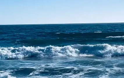 Ride The Waves Of Inspiration