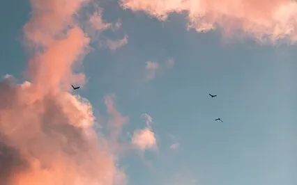 Ride With The Wind Current Creative Visualization Meditation