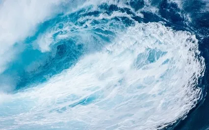 Riding The Wave Of Life