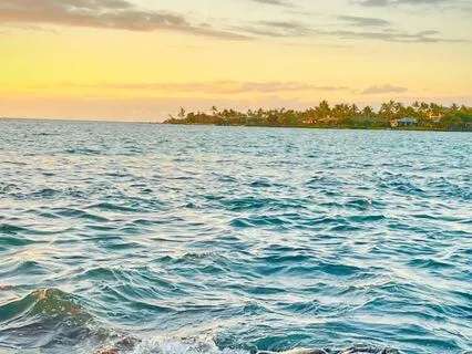 Riding The Waves Of Emotion