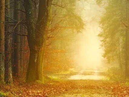 Riding The Winds With The Air Dragon