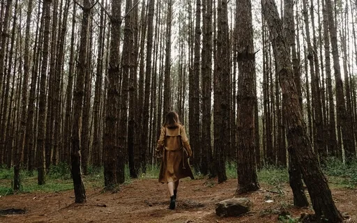 Ревизия Своей Жизни. Практика "4Главные Сферы Жизни"