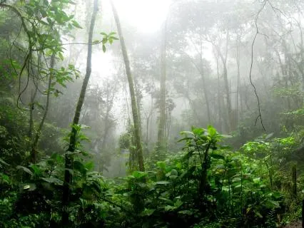 Right Here, Now - Bali Rain