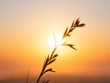 Right Here, Right Now