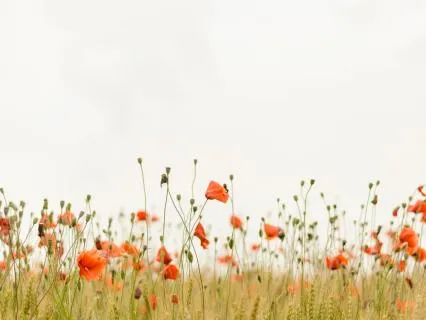 Right Here, Right Now: A Somatic Grounding Reset For Anxiety