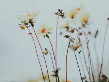 Right Here, Right Now, Everything's All Right