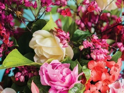 Right Knowledge Awakened End Suffering