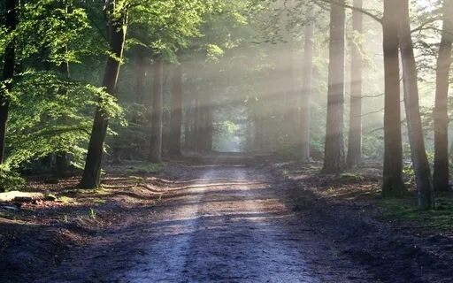 Right Teacher, Right Path