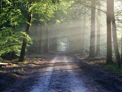 Right View: The Path To Lasting Happiness