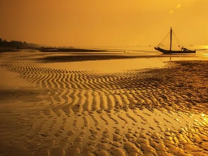 Riktad Uppmärksamhet