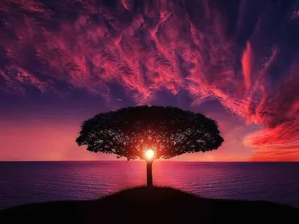 Rinse Before Rest: A Gentle Path To Sleep