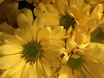 Ripping Away Negativity & Generating Pure Positivity!