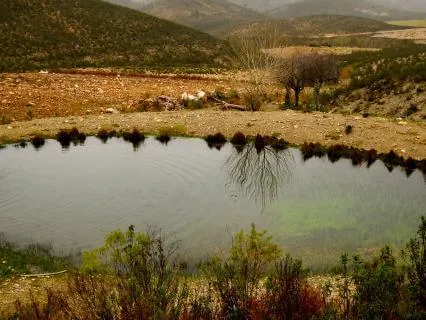 Ripples Of Clarity And Insight - An Inquiry Practice