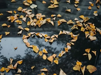 Ripples Of Lovingkindness