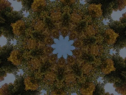 Ripples - Ohm - 7 Minutes