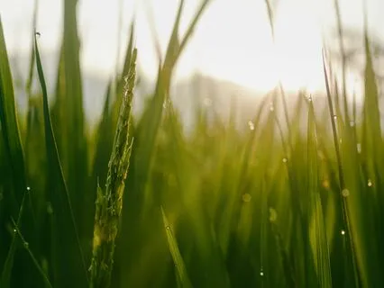 Droplets: Relaxing Meditation Music