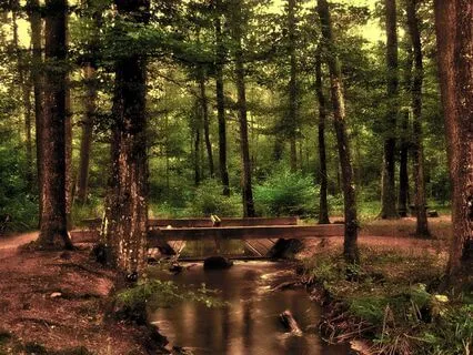 Rise Above Anxiety With 174 Hz