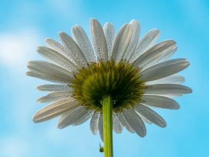 Rise And Reset With 3 Part Yogic Breath