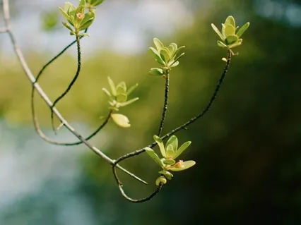 Rise & Shine: Be Your Own Best Friend