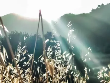 Rise And Shine Morning Meditation