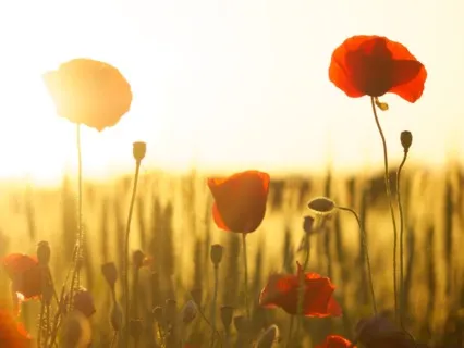 Rise & Shine Quick Morning Centering Practice