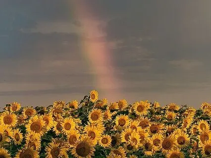 Rise & Shine: Start Smart With The Balance & Divinity Of 3 (Extended)