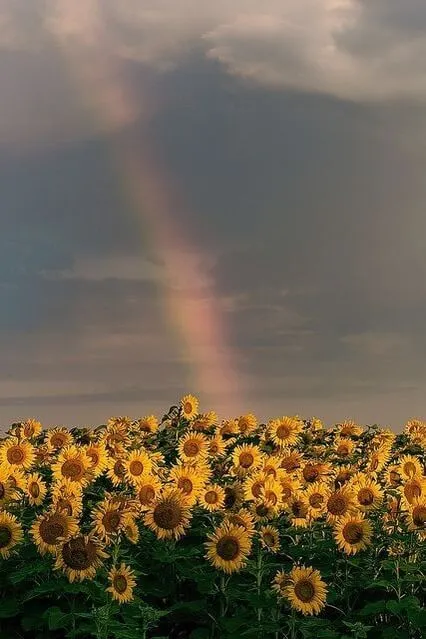 Rise & Shine: Start Smart With The Balance & Divinity Of 3