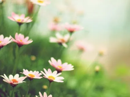 Rise - Beginner-friendly Meditation Series