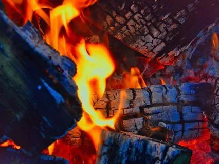 Rise From The Ashes: Your New Life Begins