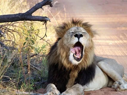 Rise Gently: A Positive Warm Start To Your Morning