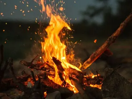 Rise Like The Phoenix: Break Free From Patterns And Cycles