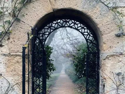 Rise & Release A Guided Astral Projection Meditation