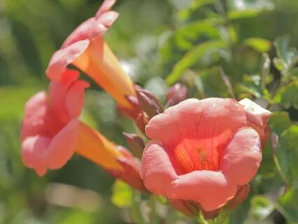 Rise & Shine: Morning Affirmations For A Positive Start