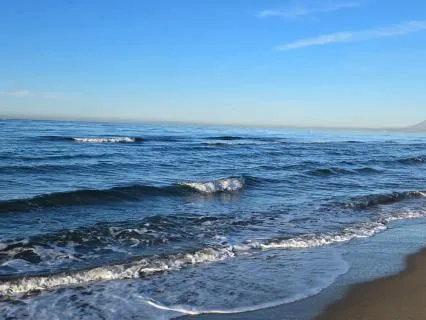 Rise With Appreciation: Morning Guided Gratitude