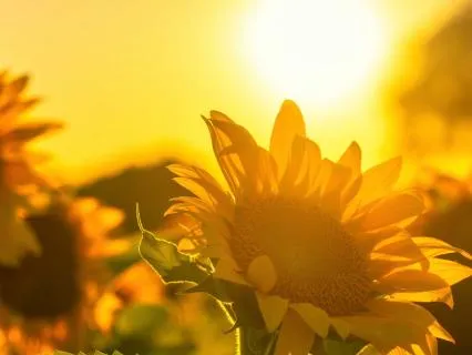 Rise With Strength: Empowering Morning Affirmations