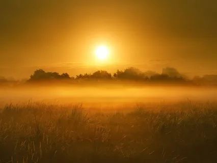 Rise With The Sun: 6-Minute Morning Gratitude Meditation