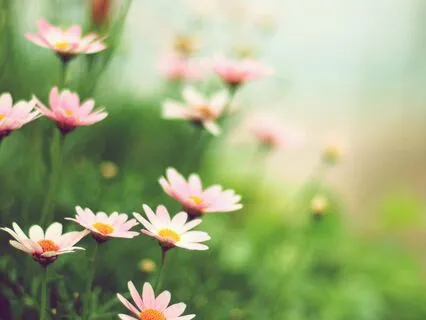 Rise - Yoga Nidra To Rest The Spiritual Body