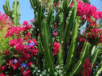 Rising Above Anxiety From A Mystic's Perspective