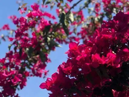 Rising Above: Imposter Syndrome Affirmation Meditation