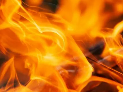 Rising From The Ashes