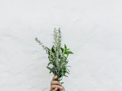 Rising Prayer For A Miraculous Day