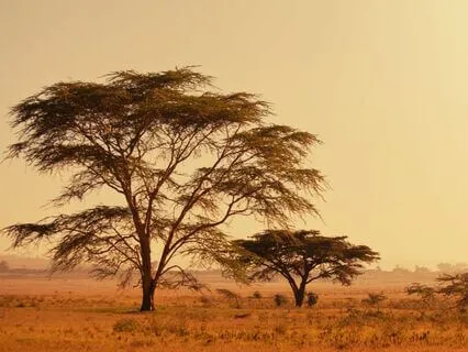 Short Dance With Percussions @ 174hz