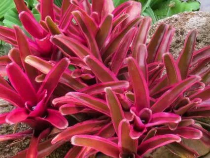 Ritual of Presence – A Journey to Yourself