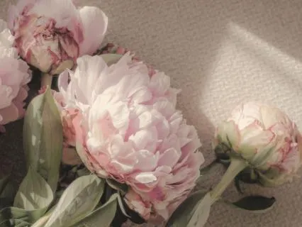 Ritualize Your Happiness For Women- Brief Practice