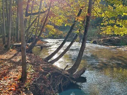 River Flow Soundscape For Relaxation