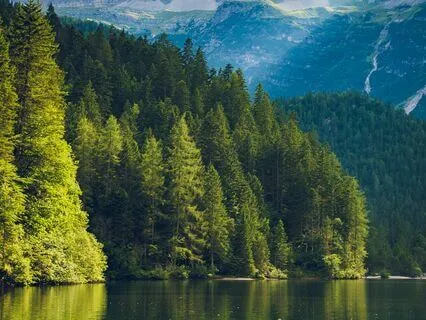 River Flows Into Eternity