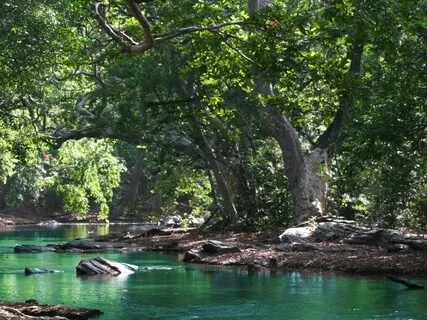 River Practice, Breath Practice 