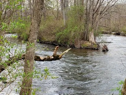 River Meditation For Release