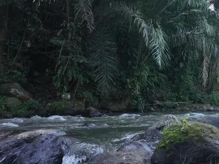 Morning River Nature For Deep Calm